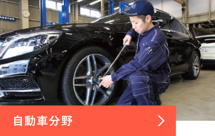 自動車分野