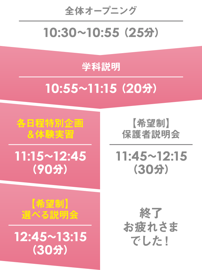 WiZまるわかりタイムスケジュール