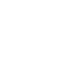 自動車分野