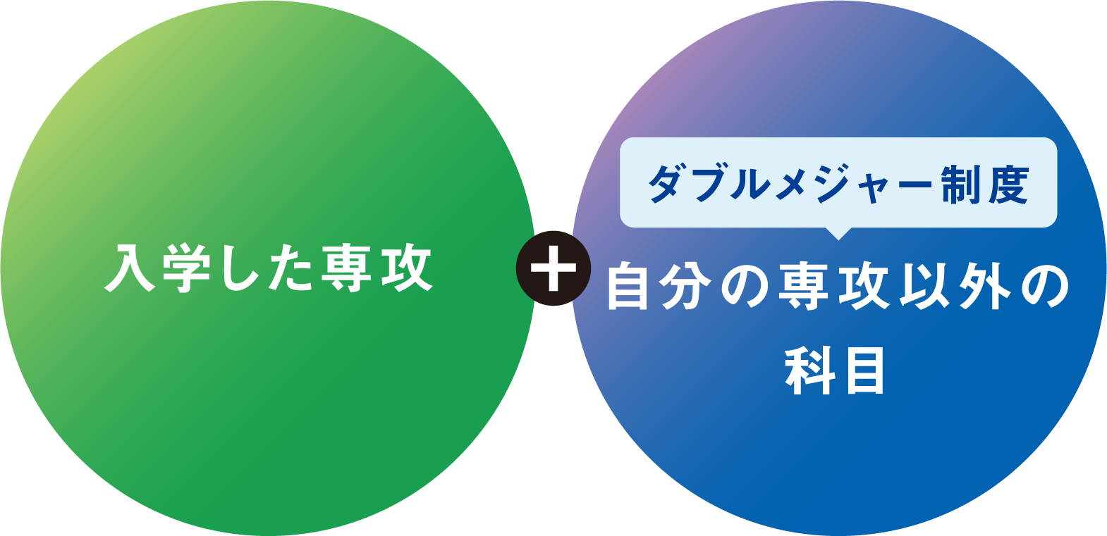 入学した専攻＋【ダブルメジャー制度】自分の専攻以外の科目