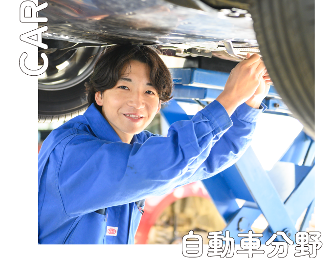 自動車分野