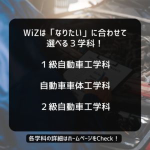 ＼＼WiZの分野information👆／／